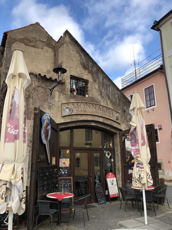 Villa Davinci Český Krumlov المظهر الخارجي الصورة